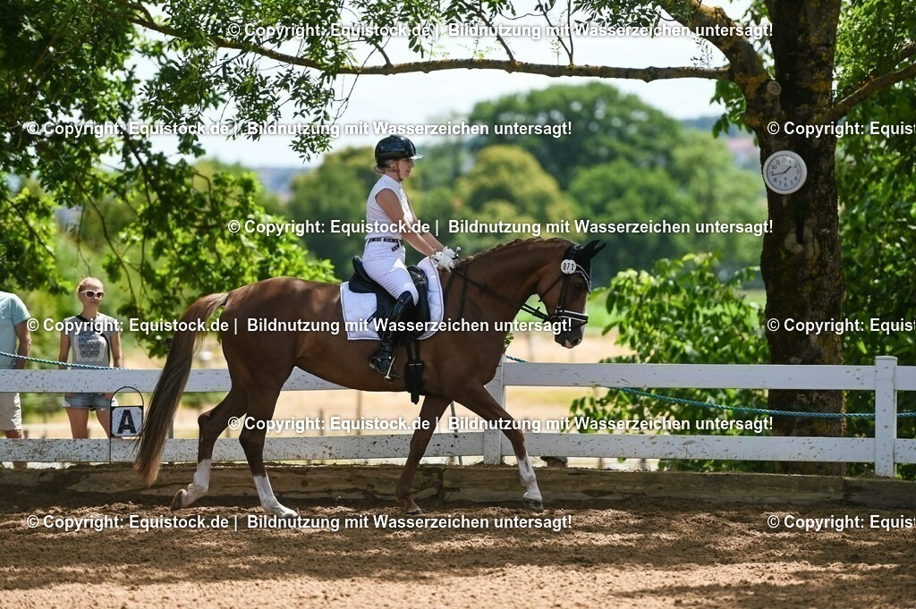 20230716_03_Dressurprfg. Kl.L - Tr._0492 | equistock