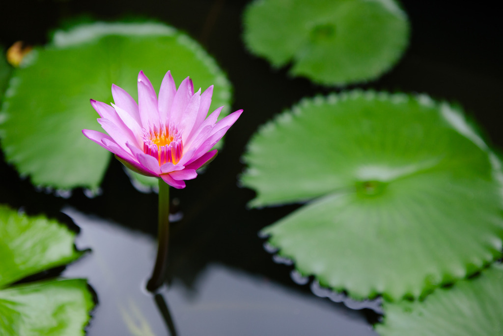 _MG_8621 | AHORN PHOTOGRAPHY - Realisiert mit Pictrs.com