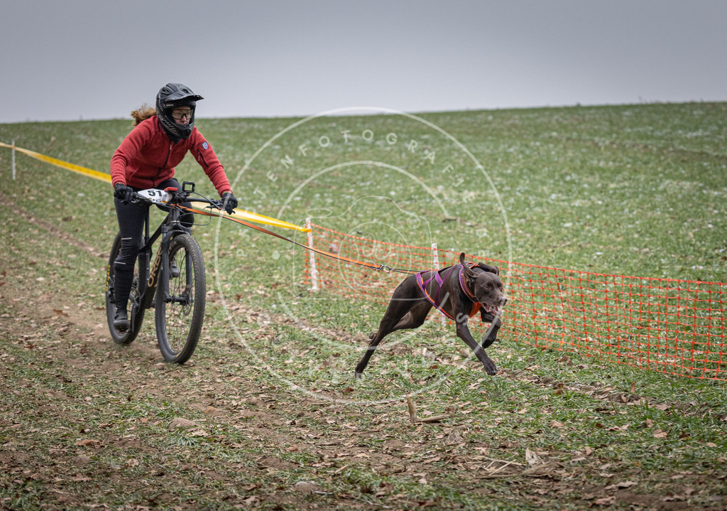 Pfotenfotografie_DV3A1096 | Hundefotografie, Tierfotograf, Pfotenfotografie, Fotoshooting Hund, Hunde Portrait, Hundesport, Hundeportraits, Heideshooting, Hunde, Sportfotograf, Hundefotograf, Turnierhundsport, THS,  - Realisiert mit Pictrs.com