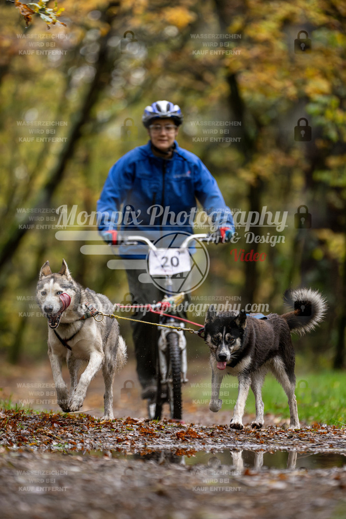 MompixPhotography_Bischwiller23_DS2-32 | mompixphotography