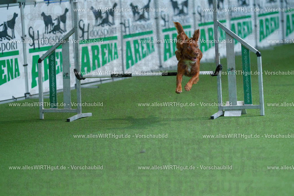 @allesWIRTHgut_Tierfotografie - www.allesWIRTHgut.de - 2604251446-7R505473 | Professionelle Tierfotografie in Mönchengladbach von Daniel Wirth (allesWIRTHgut). Liebevolle & natürliche Bilder von Hunden & Katzen für unvergessliche Erinnerungen.