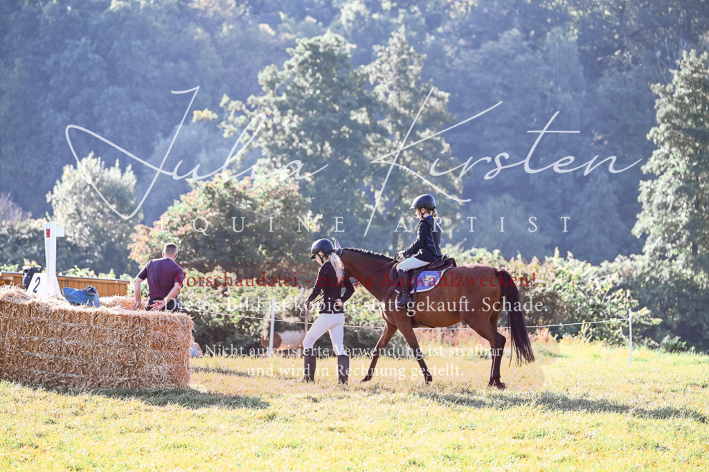 DSC_0221 | Pferde- und Turnierfotografie in Westsachsen. Pferdeportraits, Auftragszeichnungen und intuitive Kunst.