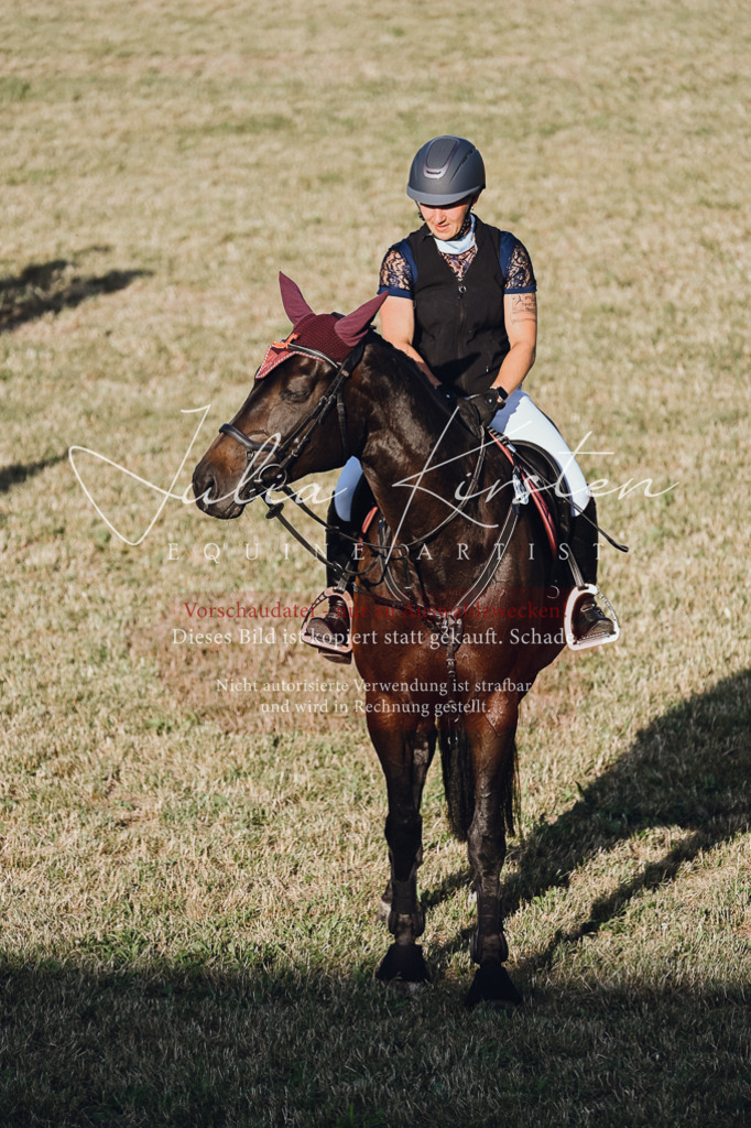 DSC_3278 | Pferde- und Turnierfotografie in Westsachsen. Pferdeportraits, Auftragszeichnungen und intuitive Kunst.