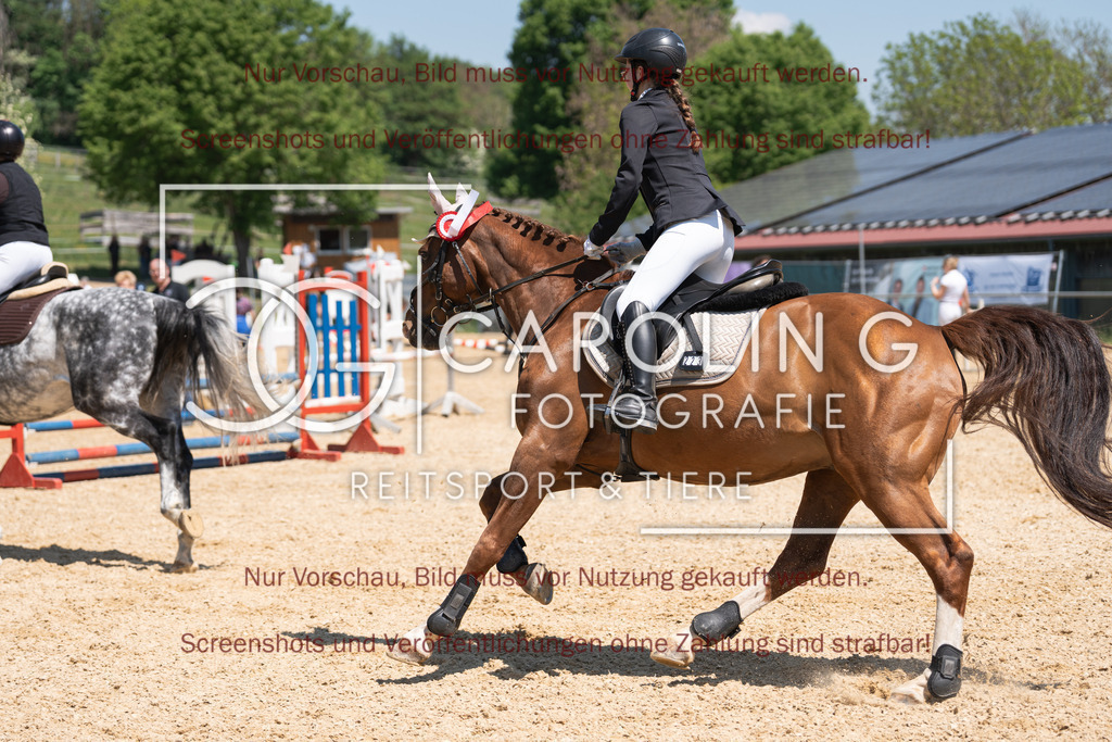 DSC04604 | Springturnier_Ehingen_Mai_2026, belissimos_pleasure_T, Hanna_Zivkovic