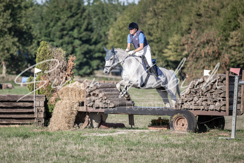 20260906-_3LI1205 | Tierfotografie Pferde, Hunde, Katzen, Haustiere.
Turnierfotografie Reitturniere, Reiten, Springreiten, Dressur in Hanau, dem Main-Kinzig-Kreis und dem Rhein-Main- Gebiet um Frankfurt