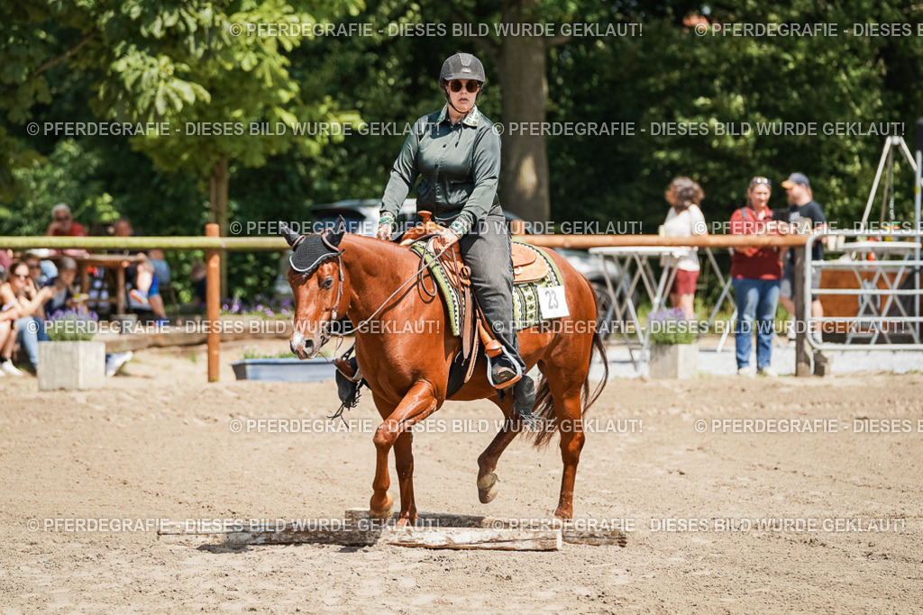 DSC06531 | Pferdegrafie