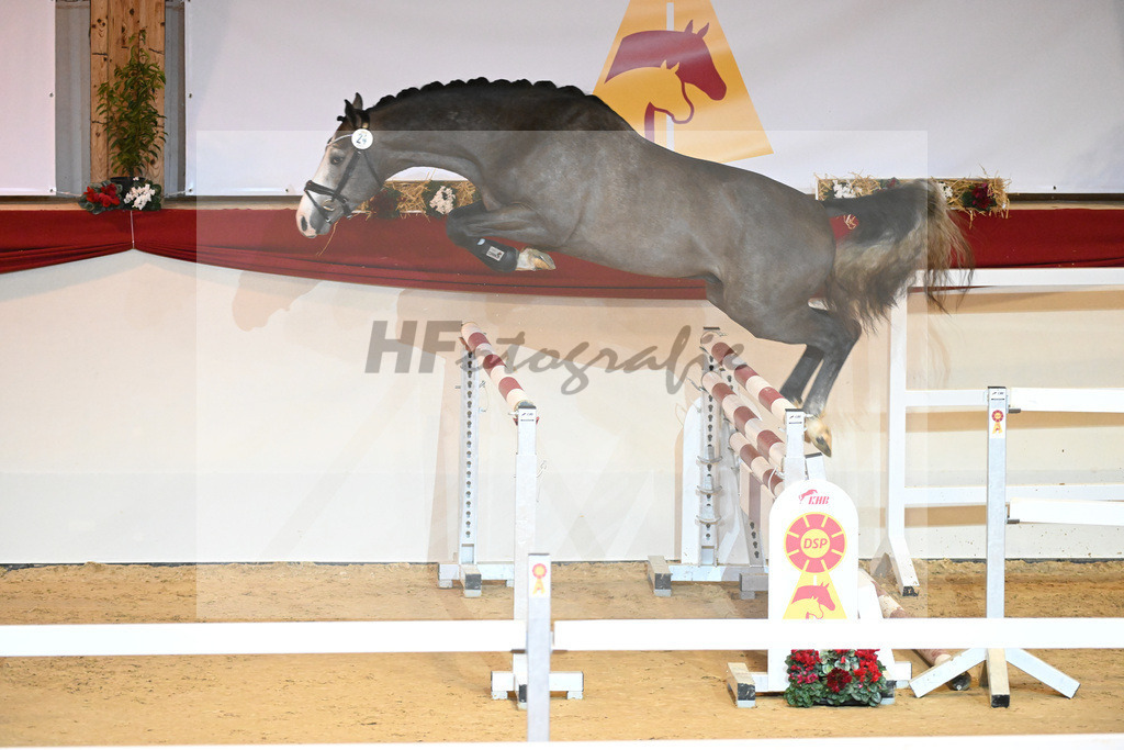 Kat-Nr. 24 Hickstead White_Zeil_1230904 | hf-fotografie - Realisiert mit Pictrs.com