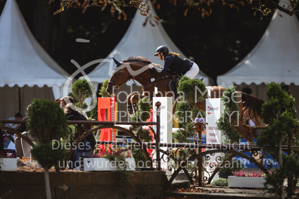 240914_OWLCh_AmateurM-554 | Deine schönsten Turniermomente als professionelle Fotos! Entdecke hochwertige Pferdesport-Fotografie im Online-Shop. Jetzt Fotos finden & bestellen!