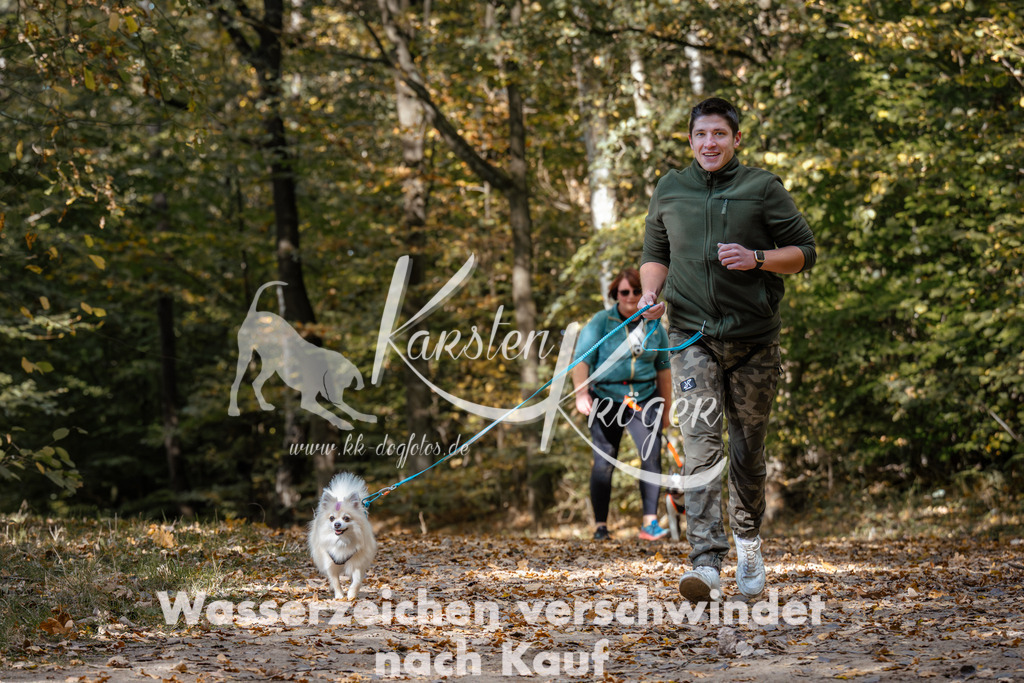 1247_ZZ96171 | kk-dogfotos