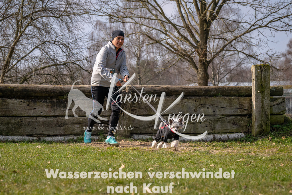 _ZZ90142 | kk-dogfotos