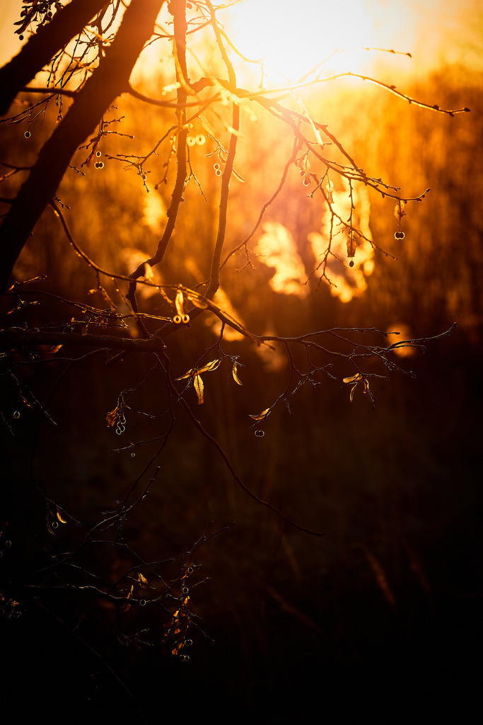Sonnenaufgang | kleinen-fotografie