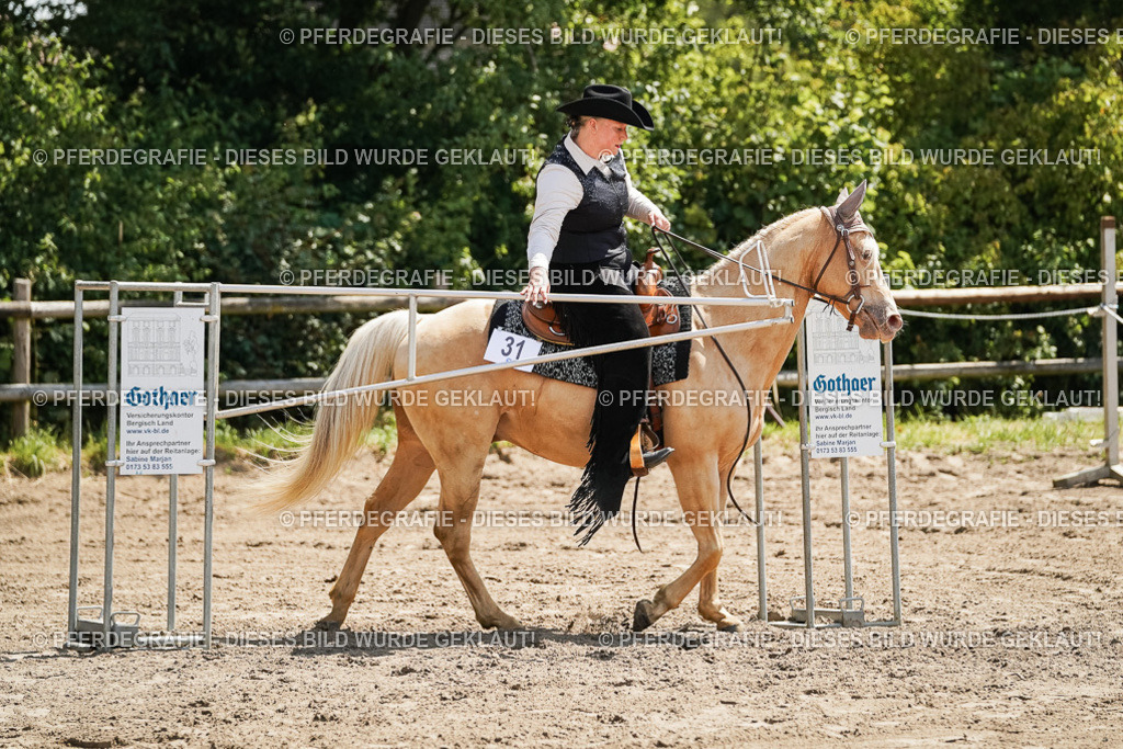 DSC06994 | Pferdegrafie