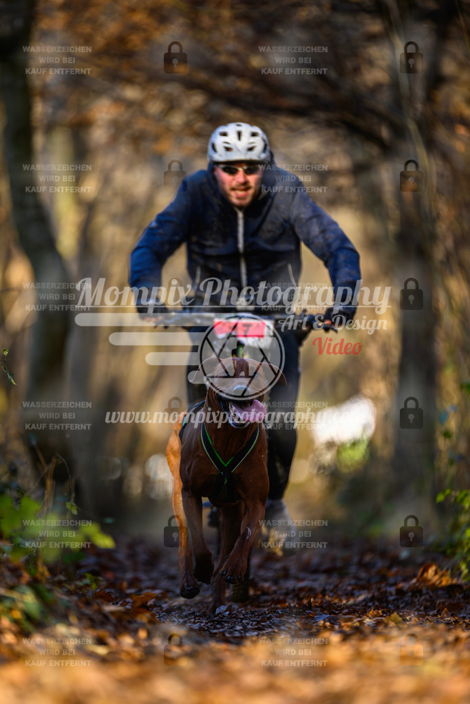 MompixPhotography_Eschau2024_Bike-48 | PayLife
