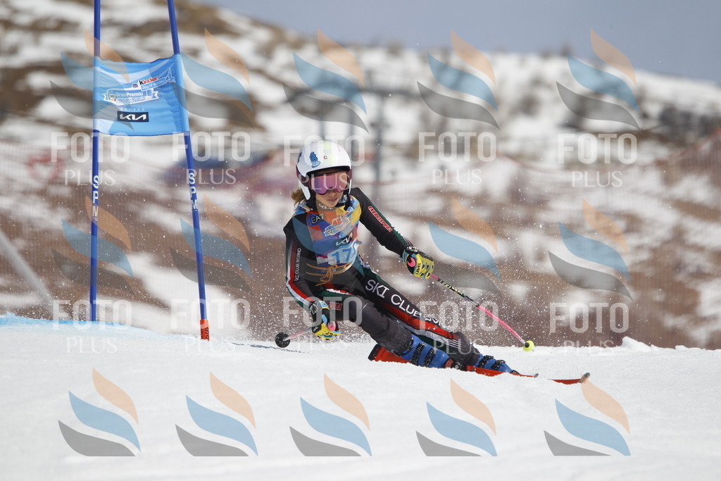 _U3G1577 | holidayphoto