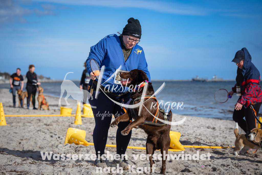1333_ZZ91905 | kk-dogfotos
