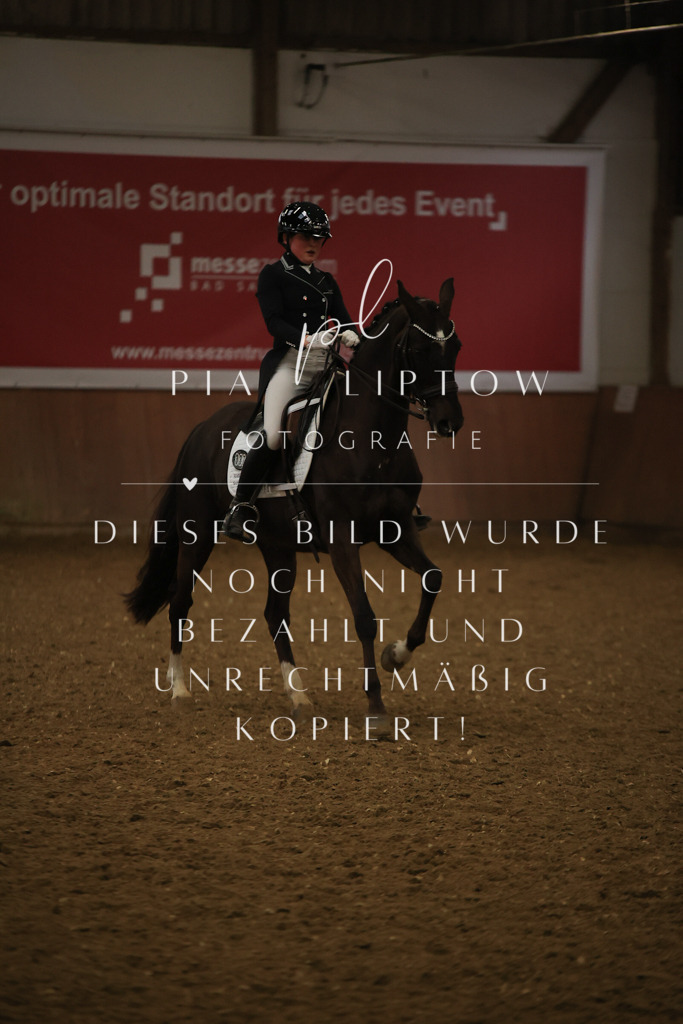 IMGT6305 | pl-fotografie