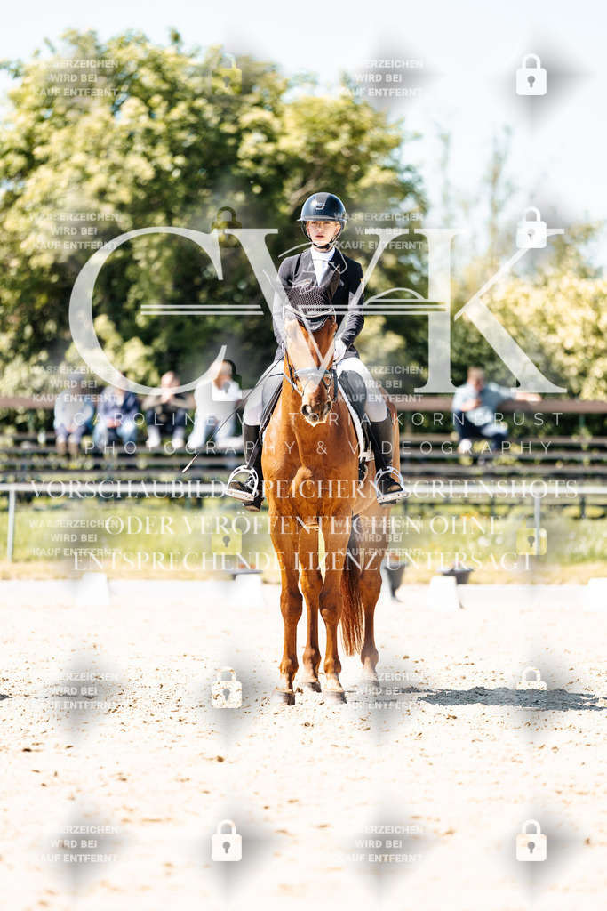 CK905730 | Turnierfotografie Pferdefotografie Trier Rheinland-Pfalz Pferdesport Reitsport Tierfotografie Sportfotografie Pferdevideo Pferdevideografie Equestrianvideography equestrianphotography  - Realisiert mit Pictrs.com