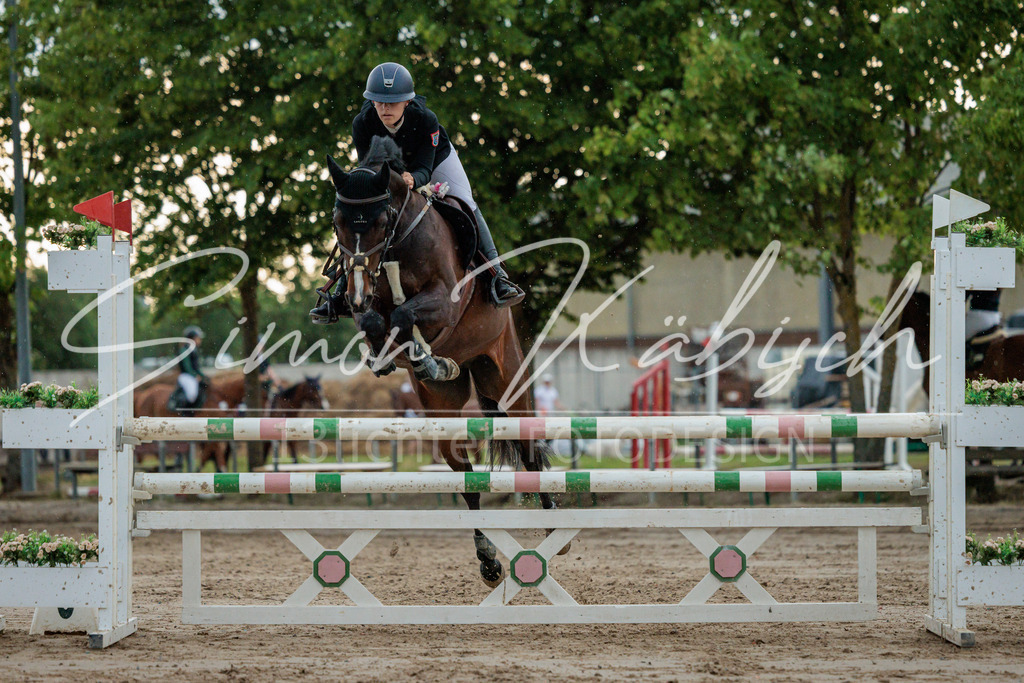 20260531-_3LI3626 | Tierfotografie Pferde, Hunde, Katzen, Haustiere.
Turnierfotografie Reitturniere, Reiten, Springreiten, Dressur in Hanau, dem Main-Kinzig-Kreis und dem Rhein-Main- Gebiet um Frankfurt
