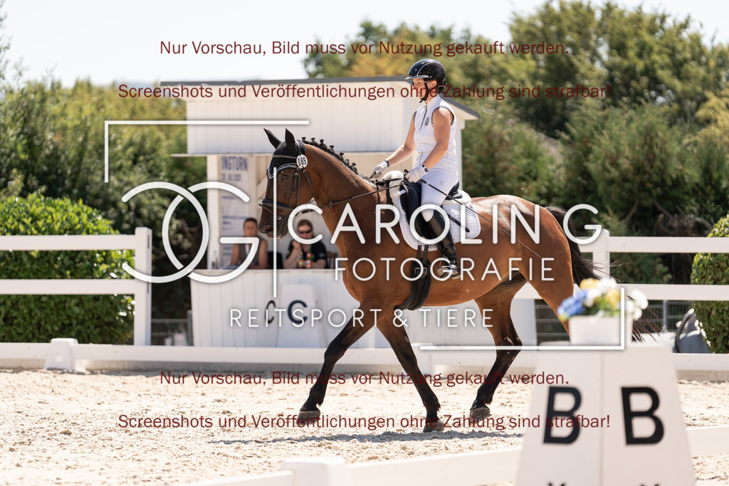 DSC05751 | Dressurturnier_Göppingen_2026, Anna_Allmandinger, Quintus