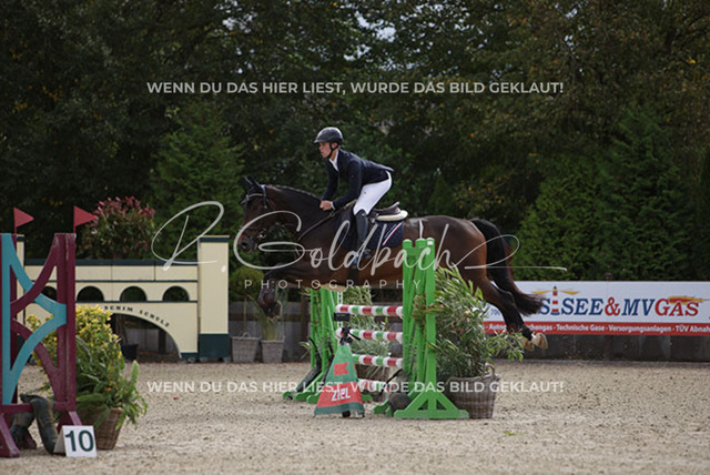 1J2A0873Mathies Rüder_ Kasa Kasa_ Kn574_ Havekost | Foto- und Videografie für alles rund ums Pferd. Hochwertige Bilder und Videos vom Spring- und Dressurreiten, Voltigieren & mehr. Jetzt aktuelle Veranstaltungen und Preise im Shop ansehen. - Realisiert mit Pictrs.com