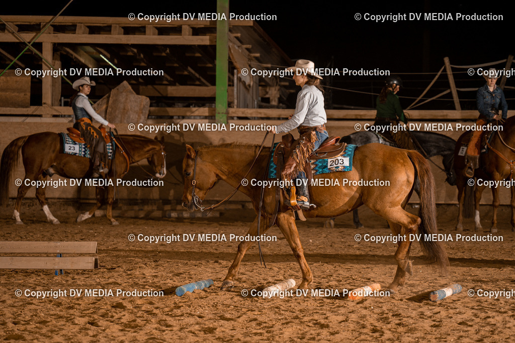 BAL03295 | dv-media-shop - Realisiert mit Pictrs.com