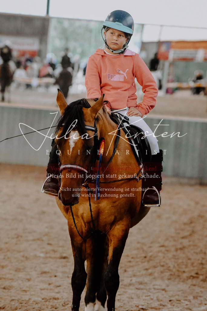 DSC_7609 | Pferde- und Turnierfotografie in Westsachsen. Pferdeportraits, Auftragszeichnungen und intuitive Kunst.