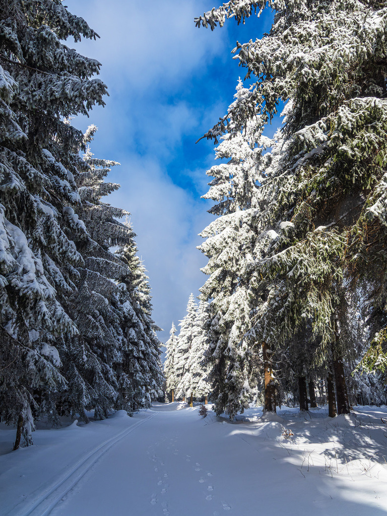 Landschaft im Winter im Thüringer Wald in der Nähe von Schmiedefeld am Rennsteig | Landschaft im Winter im Thüringer Wald in der Nähe von Schmiedefeld am Rennsteig.