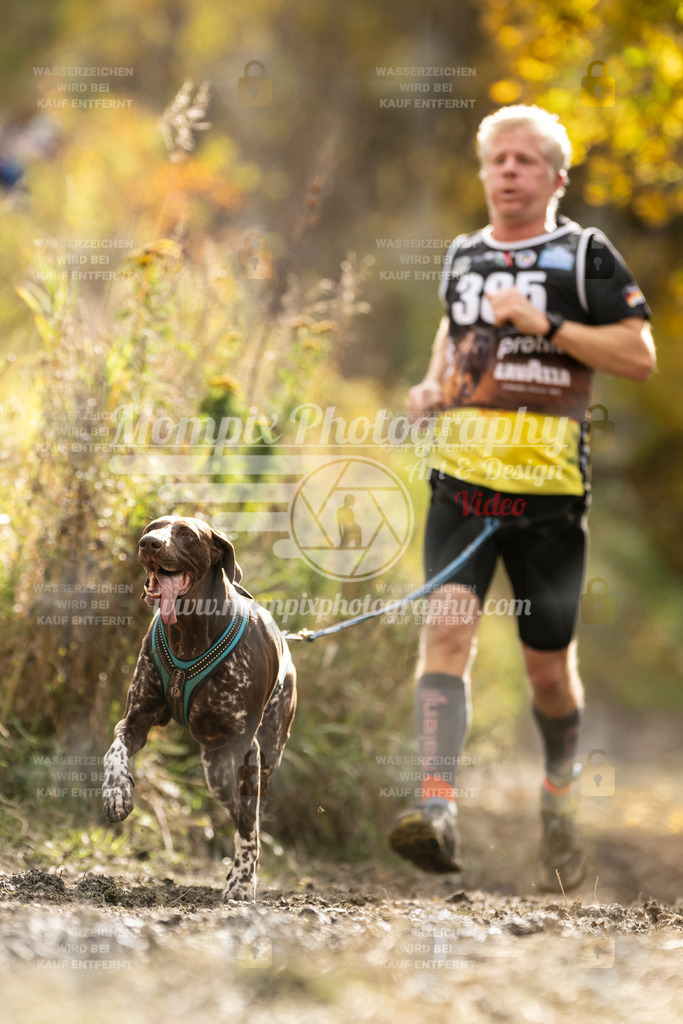 MompixPhotography_ICF_WC_2024_SA_Run_-345 | PayLife