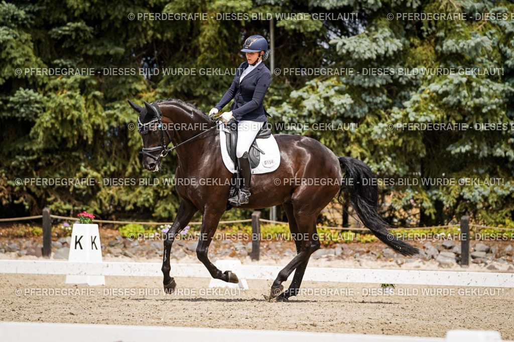 DSC02711 | Pferdegrafie