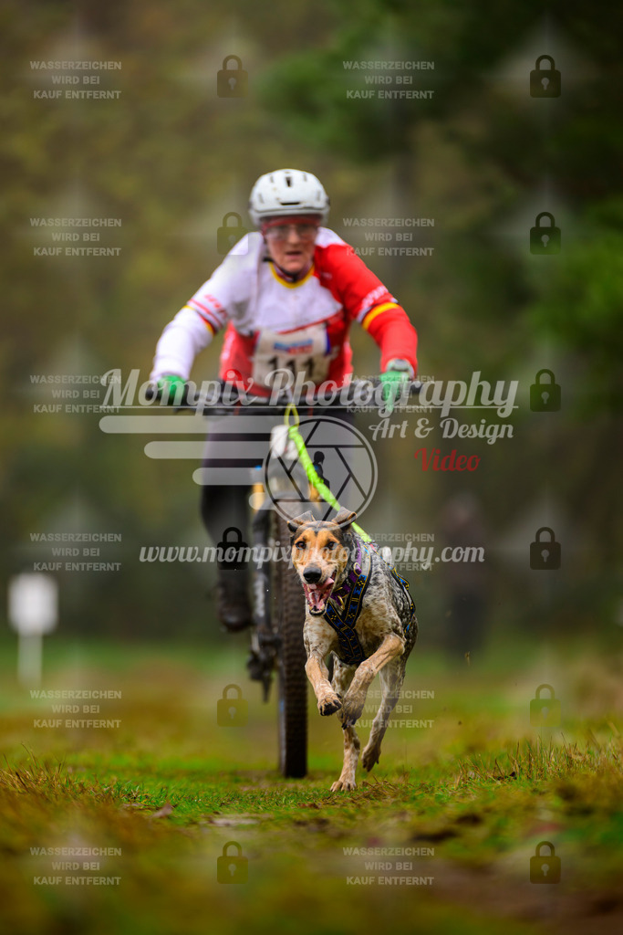 MompixPhotography_Bischwiller2025_Bike-102 | mompixphotography