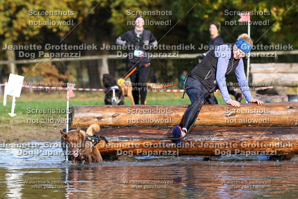 Dog Paparazzi - Strongdog 10-25-8401 | Dog Paparazzi Jeanette Grottendiek Fotografie & Videografie - Realisiert mit Pictrs.com