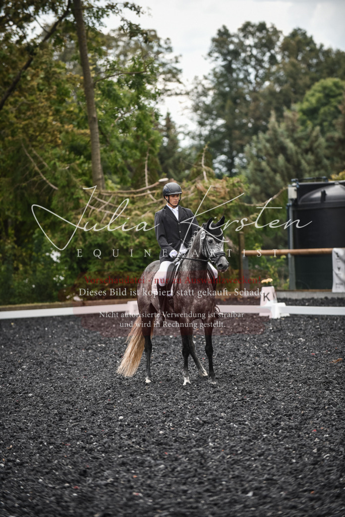 DSC_4597 | Pferde- und Turnierfotografie in Westsachsen. Pferdeportraits, Auftragszeichnungen und intuitive Kunst.