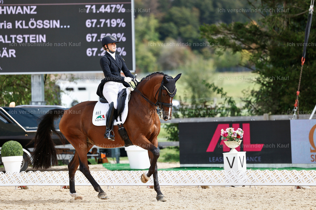 11-003-Dressur S___-StoibPH-1085 | working equitationturnier fotograf videograf stoibphotography marixx film working equitation deutschland reitsport turnierfotografie eventfotografie equestrian events