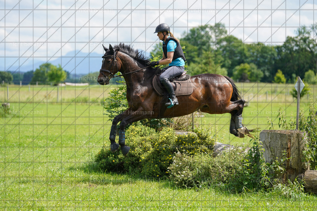 20240622-FAH07616 | Turnierfotografen Bayern, Reitsportbilder aus dem Geländekurs mit Felix Etzel auf dem Gut Waitzacker 2024
