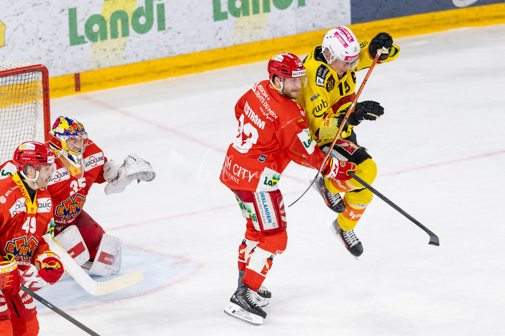 EHCB vs SCB 20260312_wb-4140 | Sportbilder, Sportfotograf, Hochzeits- und Eventfotografin, Flugshows, Portraits und Tiershooting, Aviation, Downhill, Nationalleague, Swissleague, International