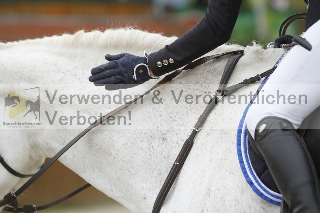 _MG_2894 | equestrian-live-com