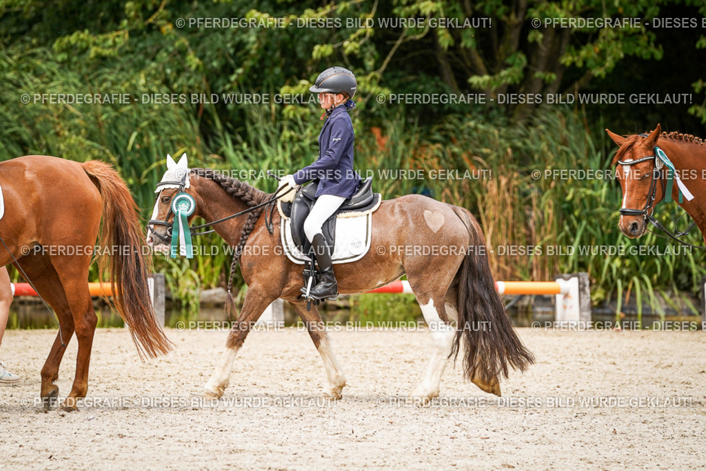 DSC04677 | Pferdegrafie