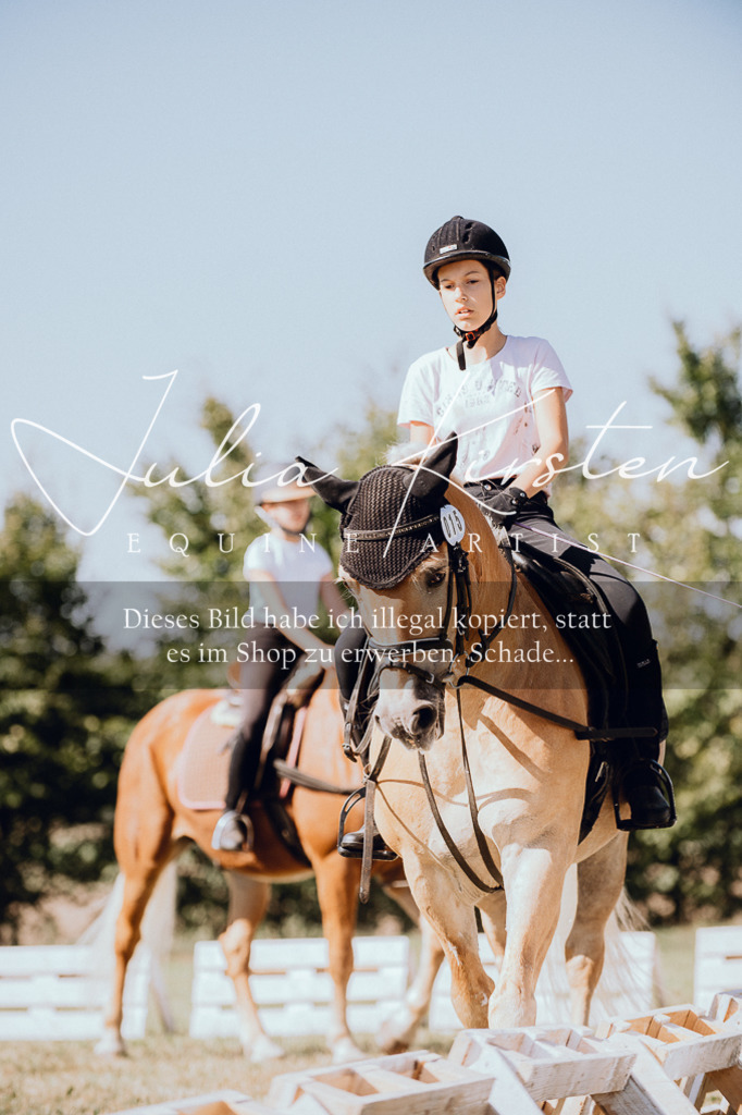 DSC_7256 | Pferde- und Turnierfotografie in Westsachsen. Pferdeportraits, Auftragszeichnungen und intuitive Kunst.