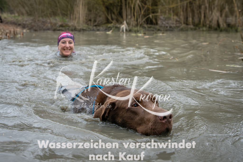 1341_ZZ91642 | kk-dogfotos