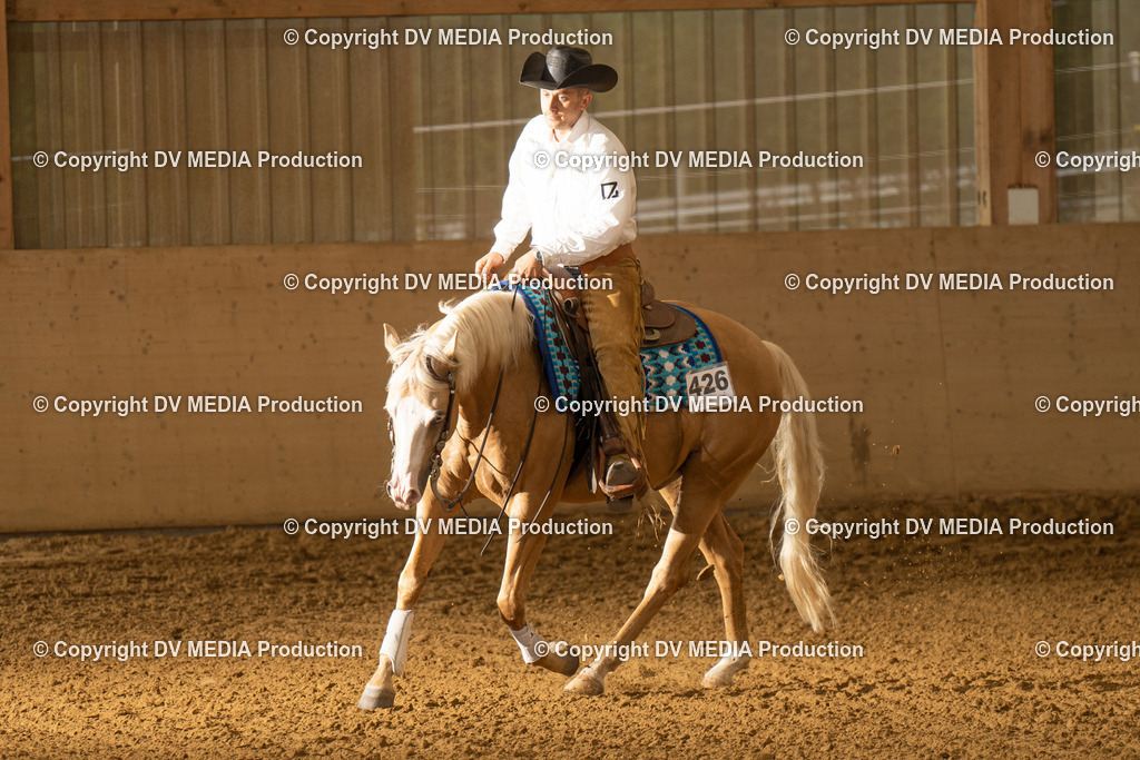 LAU00995 | dv-media-shop - Realisiert mit Pictrs.com