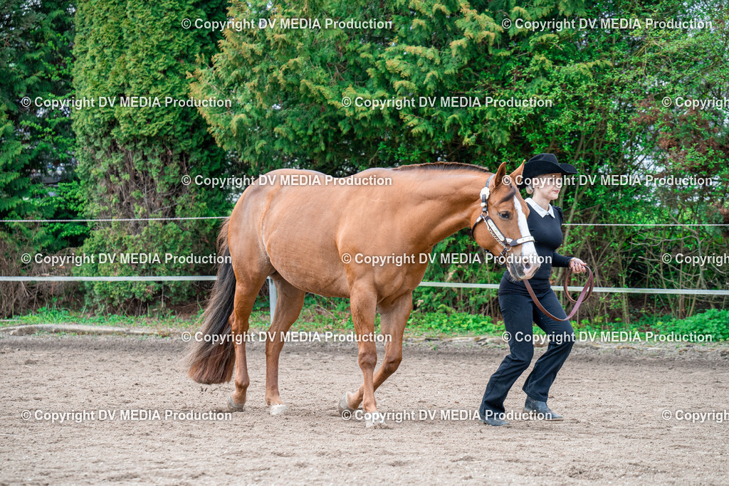 BA300243 | dv-media-shop - Realisiert mit Pictrs.com