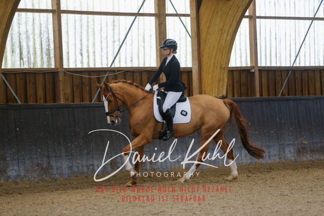 IMG_0175 | Turniersportfotografie; Pferdefotografie; Dressurfotografie