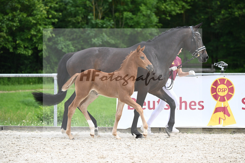 Consantos x Concetto_SF_Lang-Wengert_20241121 | hf-fotografie - Realisiert mit Pictrs.com