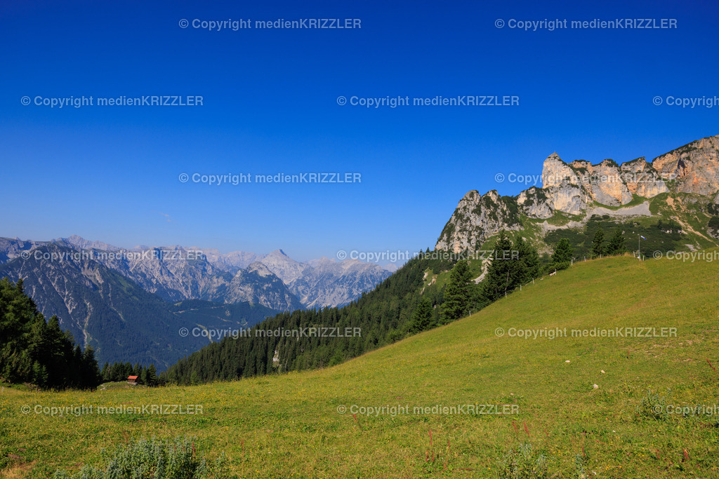 _J3A8184 | medienkrizzler - Realisiert mit Pictrs.com