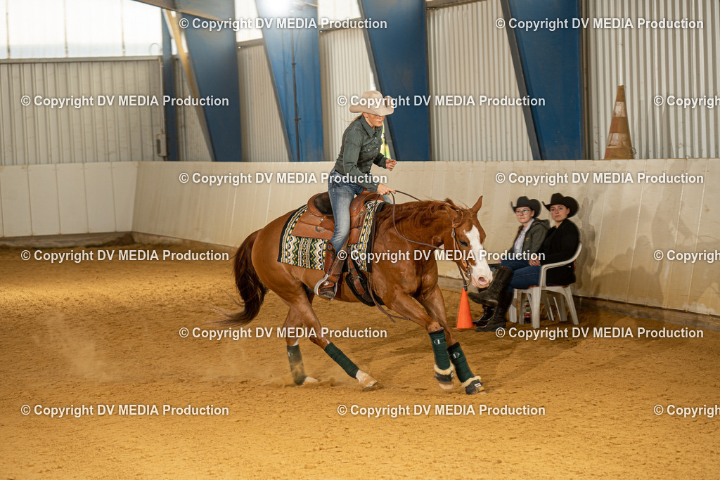 MIT00077 | dv-media-shop - Realisiert mit Pictrs.com