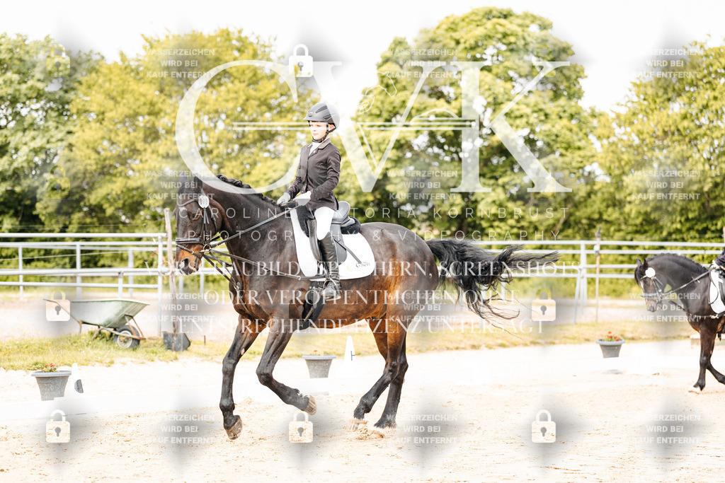 CK904347 | Turnierfotografie Pferdefotografie Trier Rheinland-Pfalz Pferdesport Reitsport Tierfotografie Sportfotografie Pferdevideo Pferdevideografie Equestrianvideography equestrianphotography  - Realisiert mit Pictrs.com