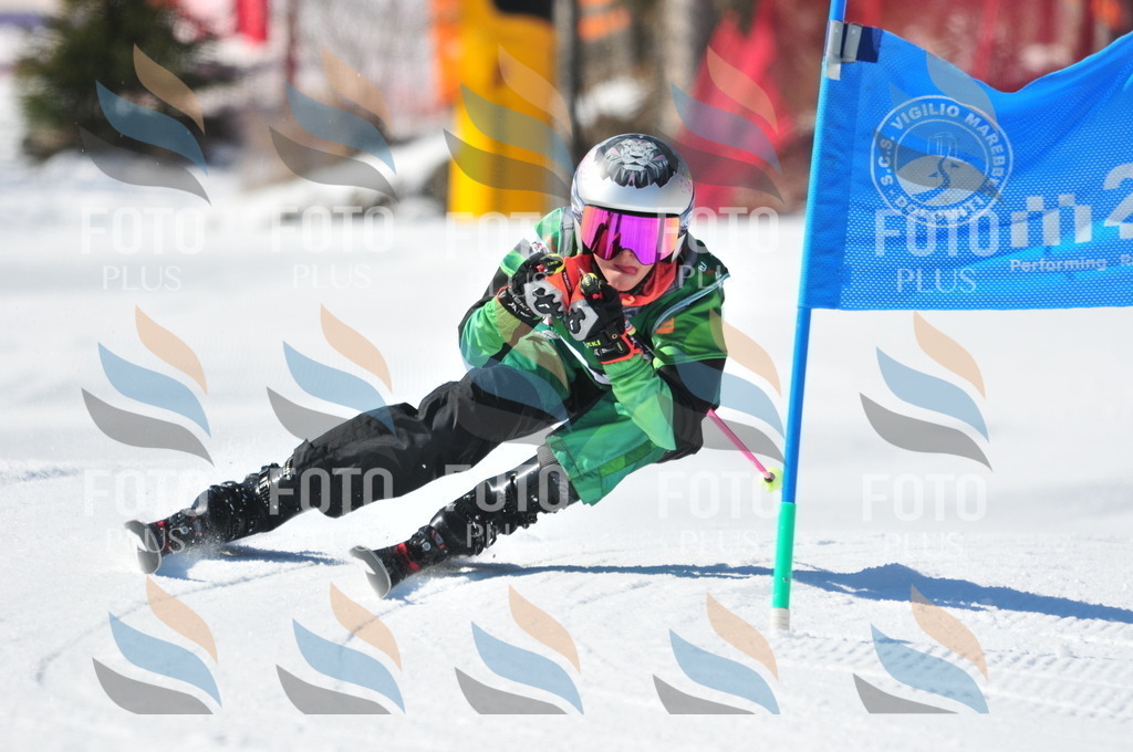 C3600 | holidayphoto