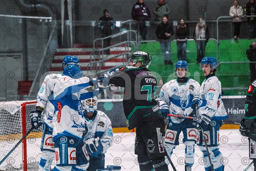 Alligators_vs_Riessersee_03_02_2026-26 | Höchstadt Alligators Fotogalerie: Eishockey-Action aus Franken. Professionelle Spielfotos, Portraits & Stadionbilder zum Download. Jetzt entdecken! - Realisiert mit Pictrs.com