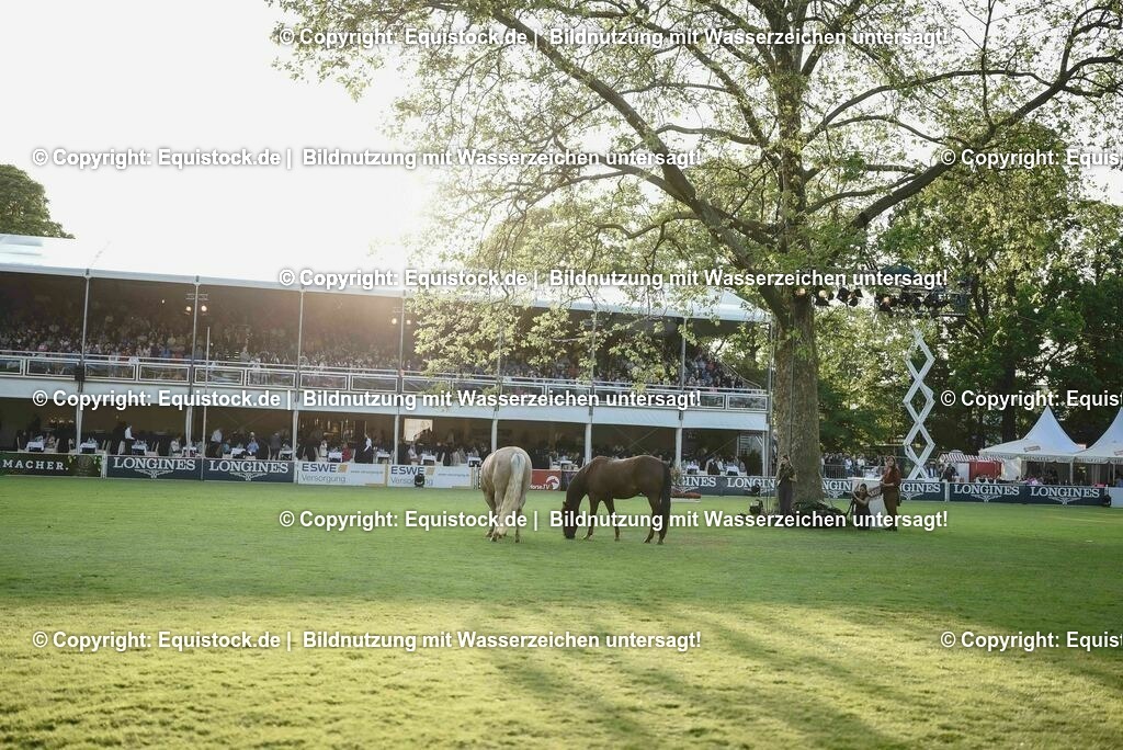 20230526_Impressionen_0328 | equistock