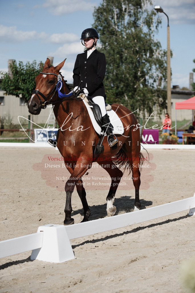 DSC_0230 | Pferde- und Turnierfotografie in Westsachsen. Pferdeportraits, Auftragszeichnungen und intuitive Kunst.